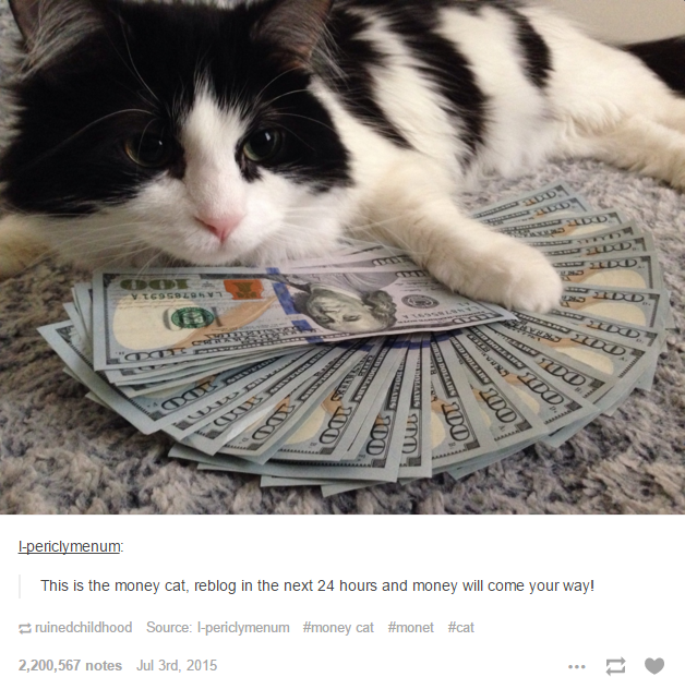 Cat with money
